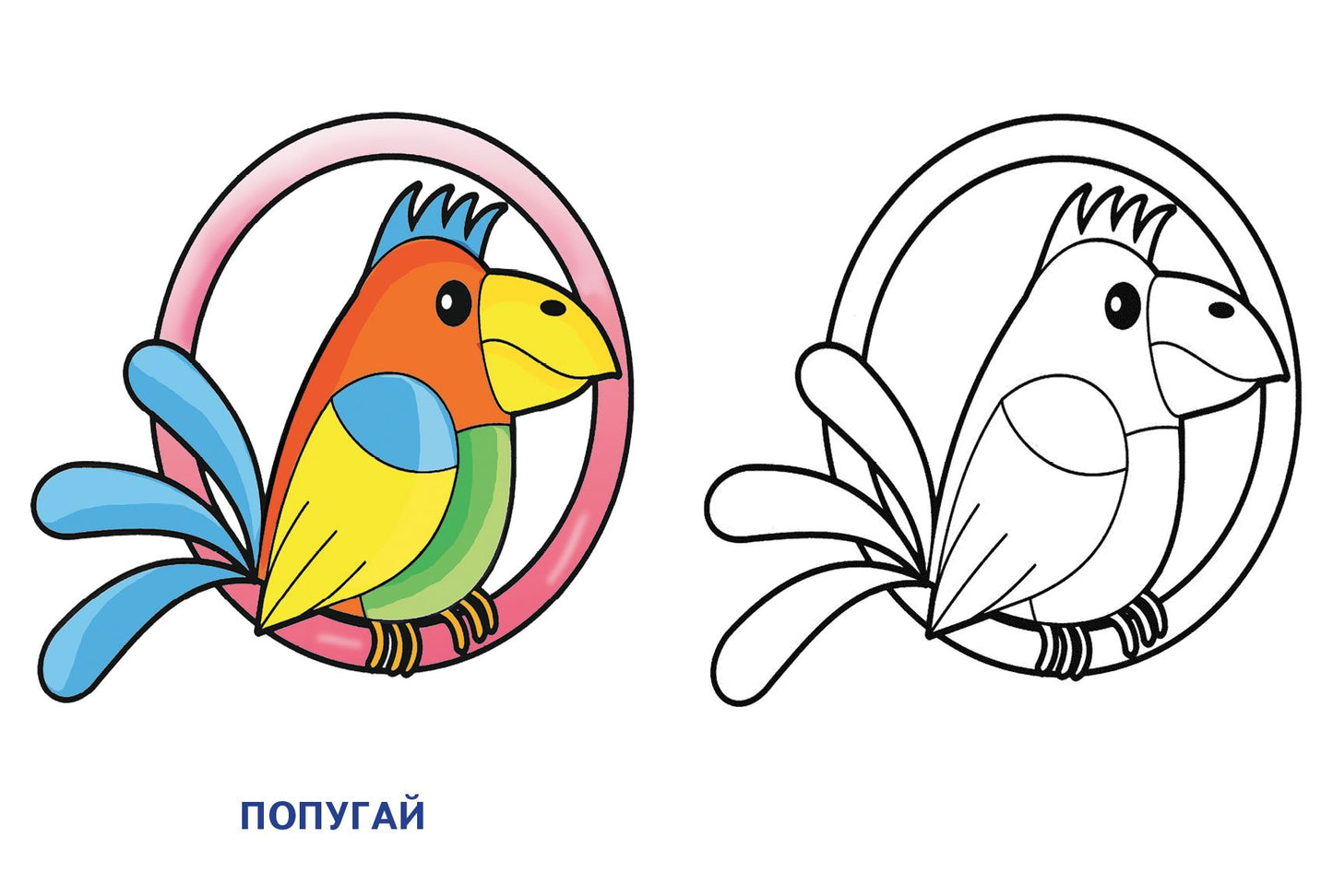 Домашние питомцы