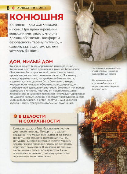 Лошади и пони. Детская энциклопедия