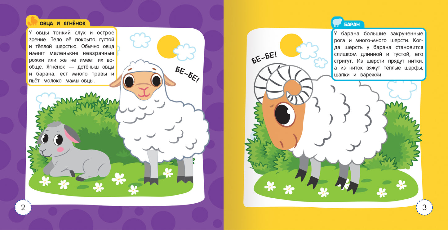 Домашние животные:книжка-раскраска