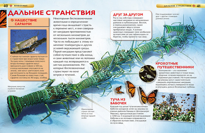 Животные. Детская энциклопедия