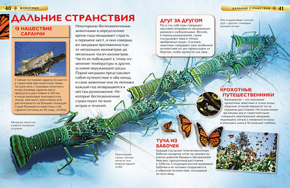 Животные. Детская энциклопедия