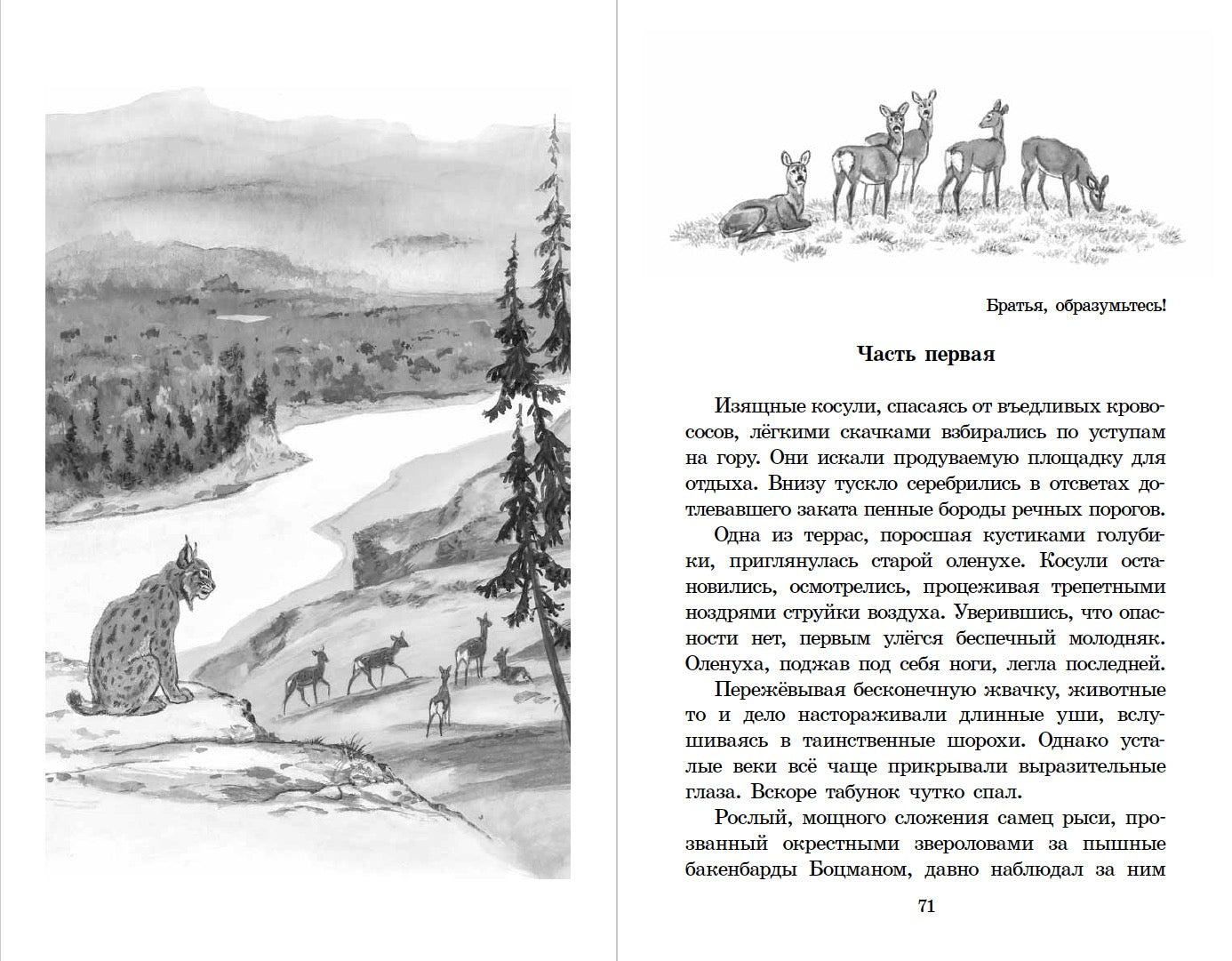 ШБ Зиганшин. Таежными тропами