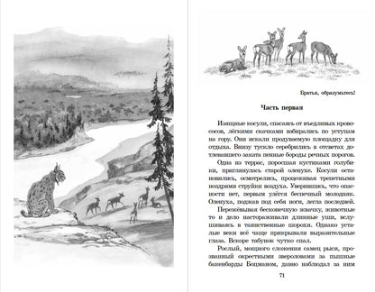 ШБ Зиганшин. Таежными тропами