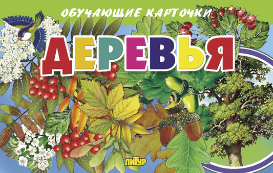 Карточки. Деревья; Карточки. Деревья
