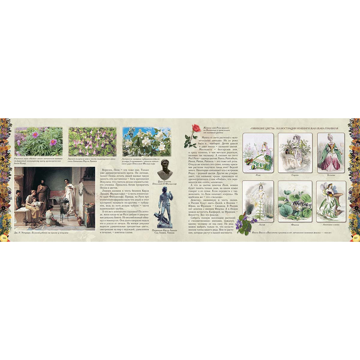 Мой первый гербарий