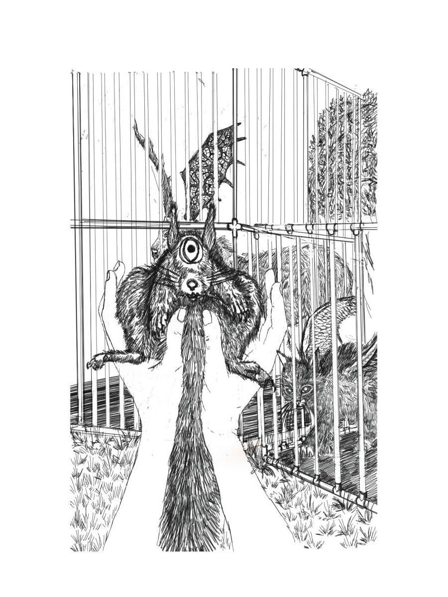 Его Луна, или Планета мечты