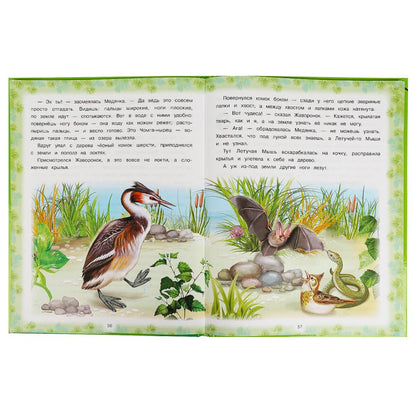 Лесные сказки. Бианки В. В. Мир волшебства. 197х255 мм. 7БЦ. 96 стр. Умка в кор.12шт