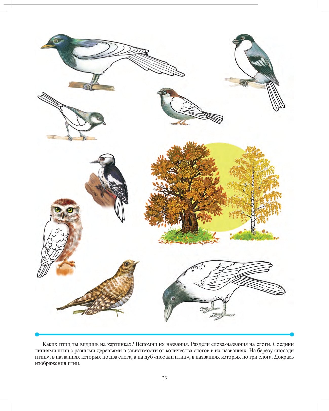 Совершенствование навыков слогового анализа и синтеза у старших дошкольников.Рабочая тетрадь. С 5 до 7 лет. ФАОП. ФГОС. (Новый формат)