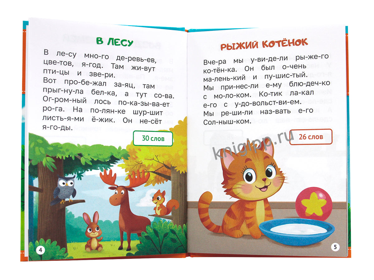 ЧИТАЕМ ПО СЛОГАМ. УРОВЕНЬ 1. Тексты до 30 слов