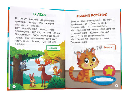 ЧИТАЕМ ПО СЛОГАМ. УРОВЕНЬ 1. Тексты до 30 слов