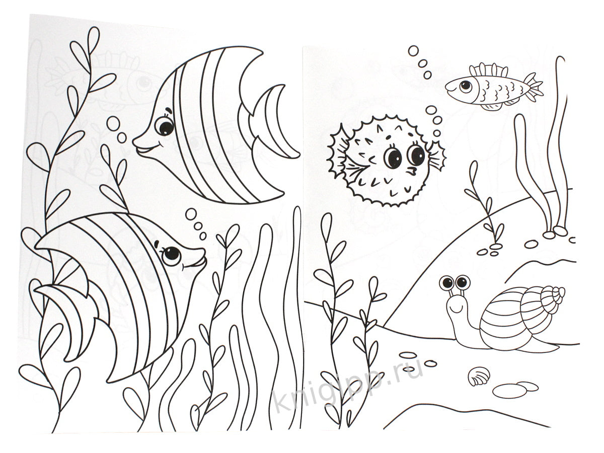 РАСКРАСКА А4 эконом. КТО ЖИВЁТ В ОКЕАНЕ?