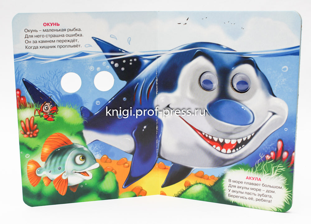 ГЛАЗКИ. КТО БОЛЬШОЙ, КТО МАЛЕНЬКИЙ?