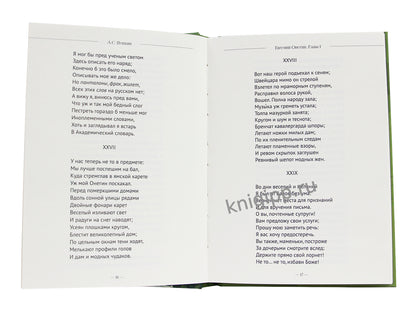 МИРОВАЯ КЛАССИКА. Александр Пушкин. Евгений Онегин 240 стр