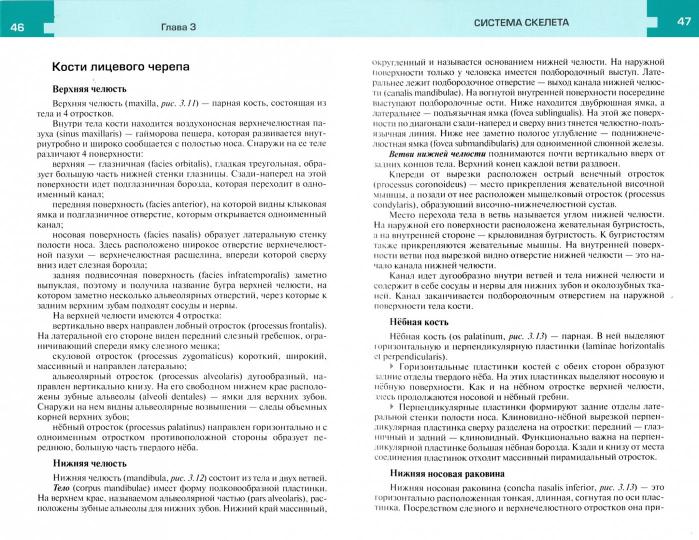 Атлас анатомии и физиологии человека : учебное пособие / Р. П. Самусев, Н. Н. Сентябрёв. — 3-е изд. — М. : ГЭОТАР-Медиа : Мир и Образование, 2019. — 768 с. : ил.