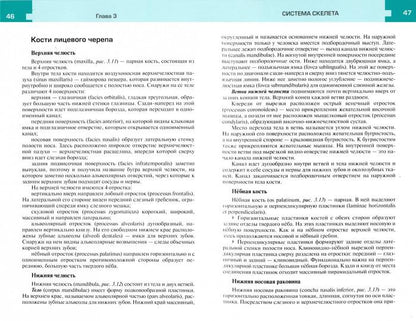 Атлас анатомии и физиологии человека : учебное пособие / Р. П. Самусев, Н. Н. Сентябрёв. — 3-е изд. — М. : ГЭОТАР-Медиа : Мир и Образование, 2019. — 768 с. : ил.