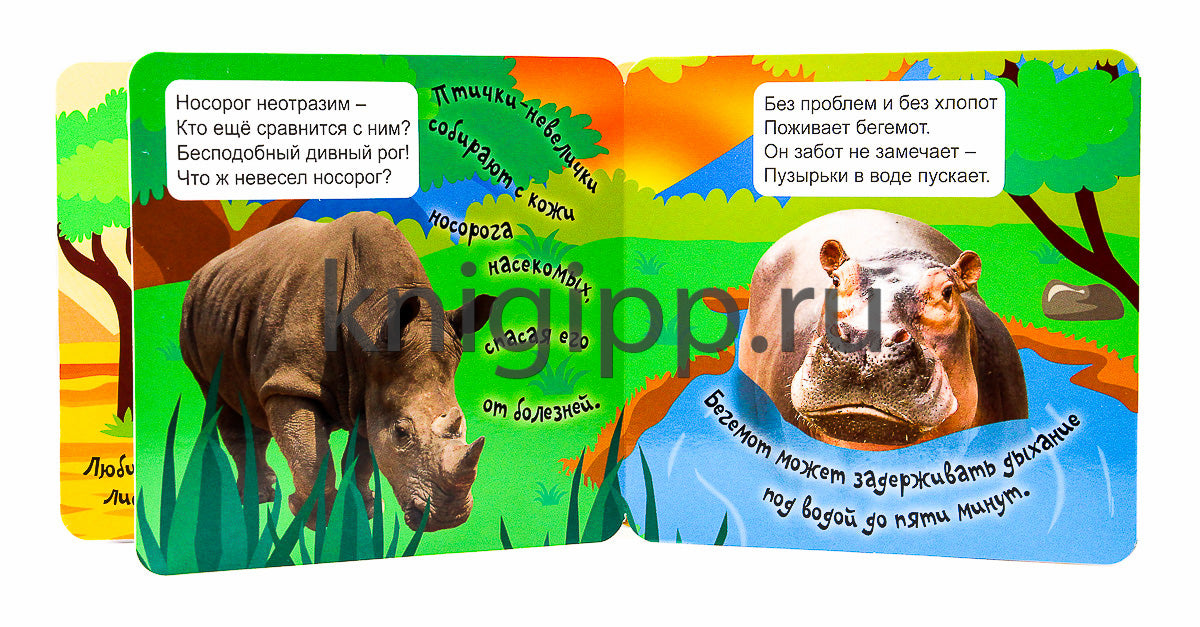 КНИЖКА-ГАРМОШКА. ДИКИЕ ЖИВОТНЫЕ