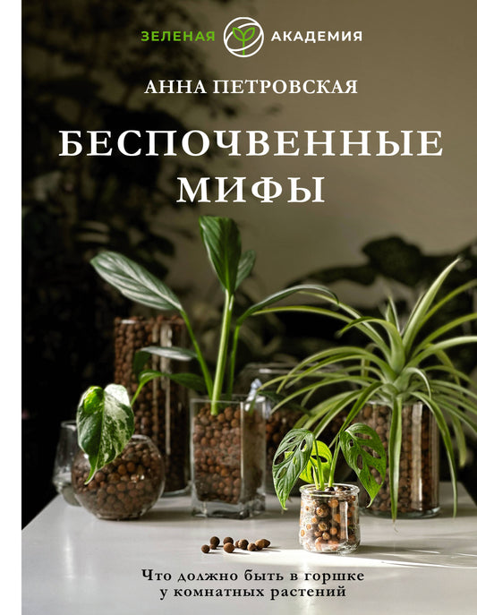 Что должно быть в горшке для комнатных растений. Беспочвенные мифы