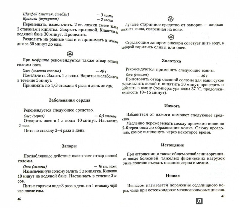 Овёс: мифы и реальность