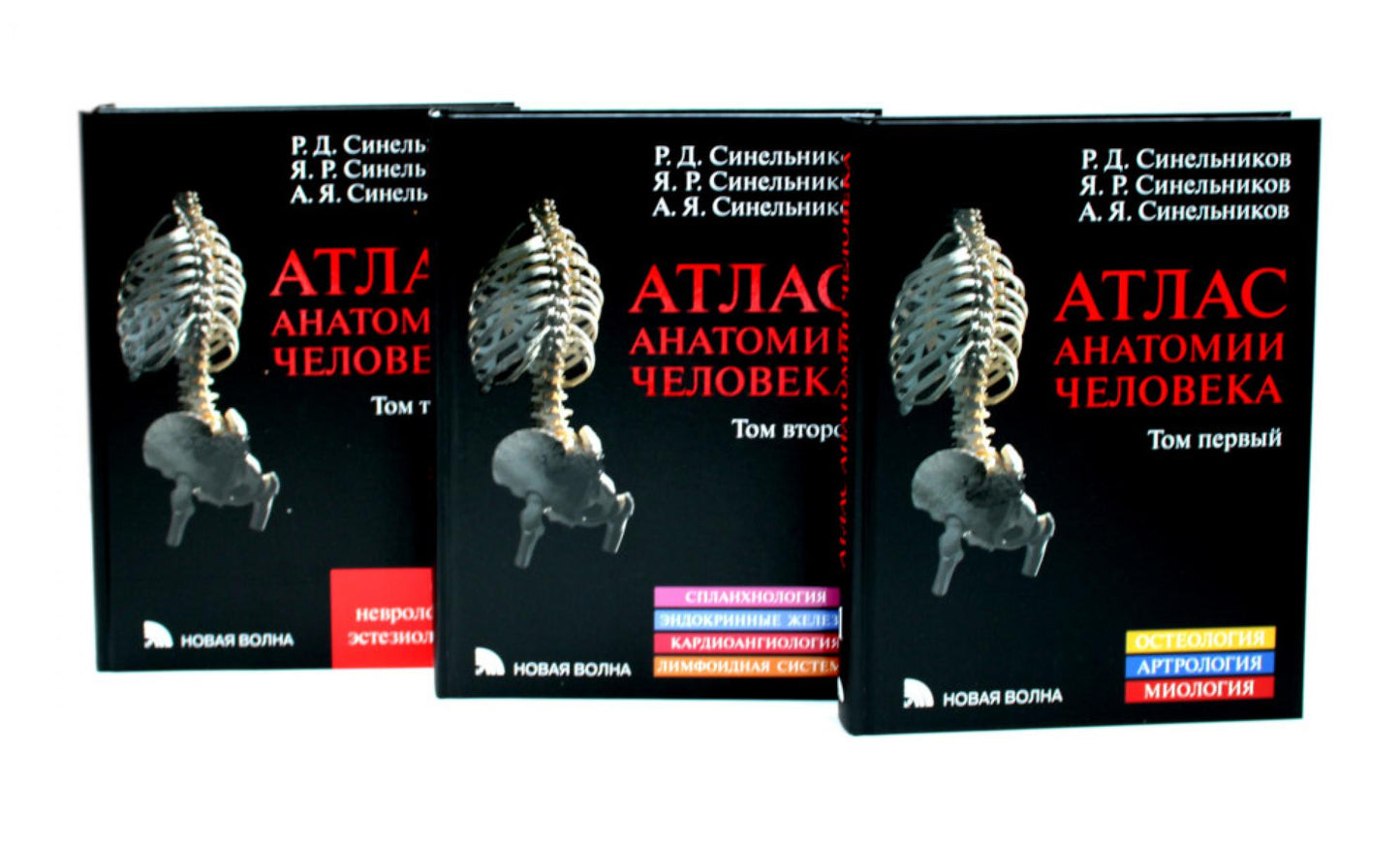 Атлас анатомии человека: В 3 т. Комплект
