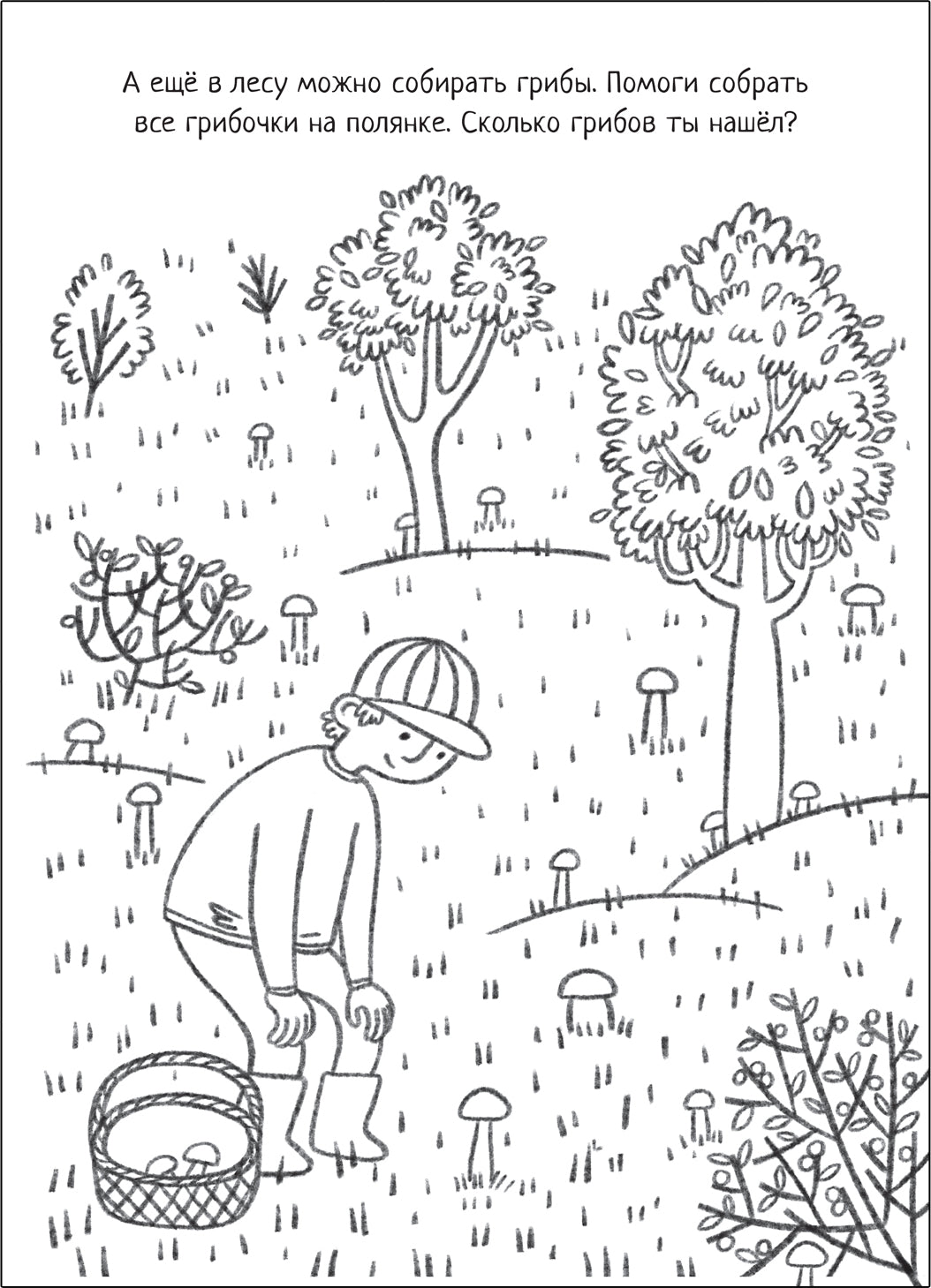 Познавательная раскраска. В лесу