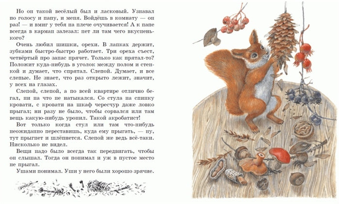 Лучшие рассказы и сказки о природе (ил. М. Белоусовой)