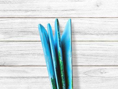 Петсон и Финдус изучают животных (второе издание, исправленное)