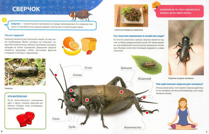 ПЕРВАЯ ДЕТСКАЯ ЭНЦИКЛОПЕДИЯ. ВСЁ О НАСЕКОМЫХ МАЛЫШАМ