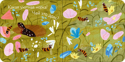 Вжух! Кто где живет?