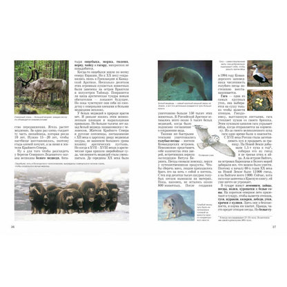 Природа России