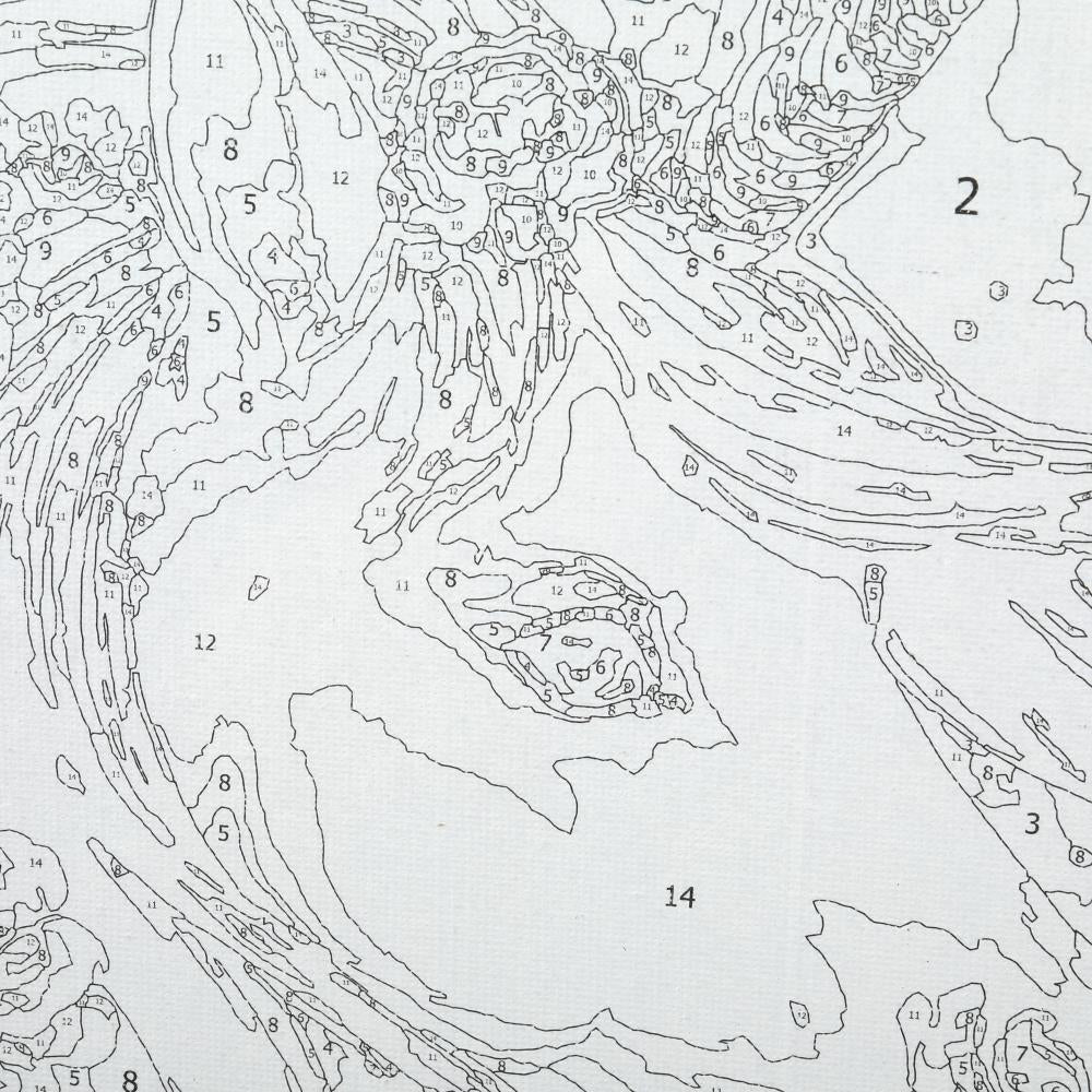 Étui en carton avec numéro 28,5*20 cm pour le modèle AP dans le cadre 48 pouces