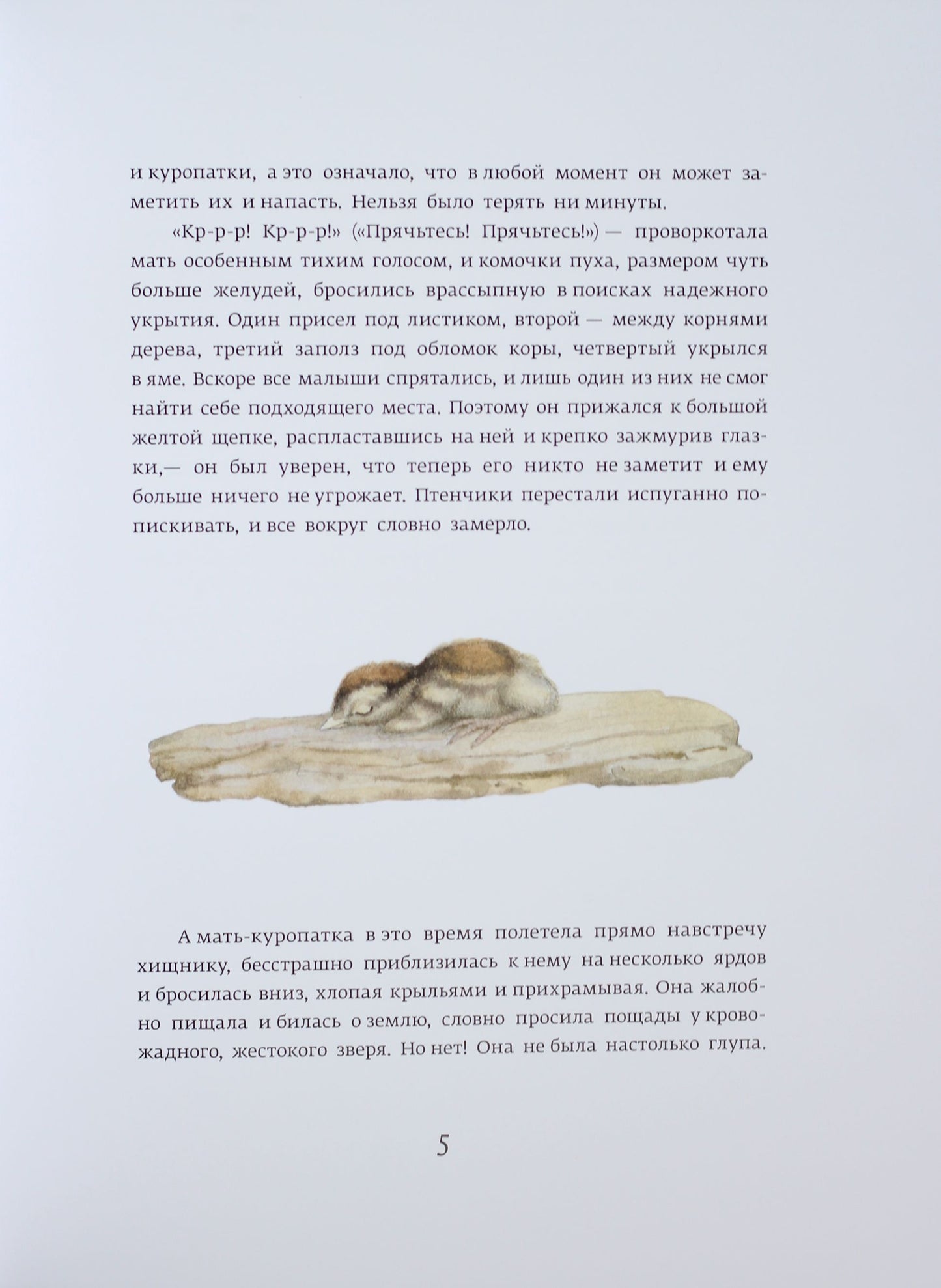 Класика в ілюстраціях: Красношейка (р)