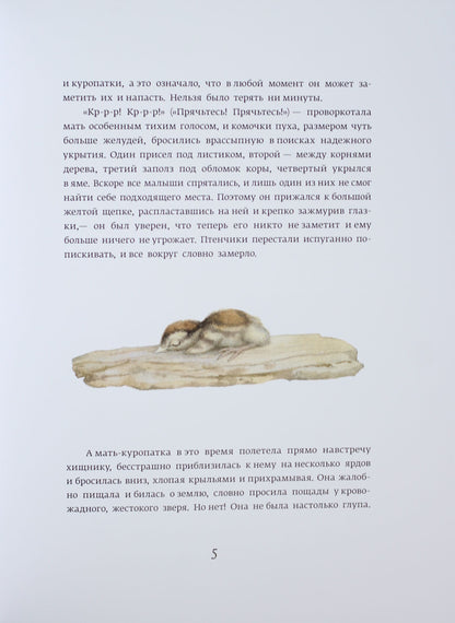 Класика в ілюстраціях: Красношейка (р)