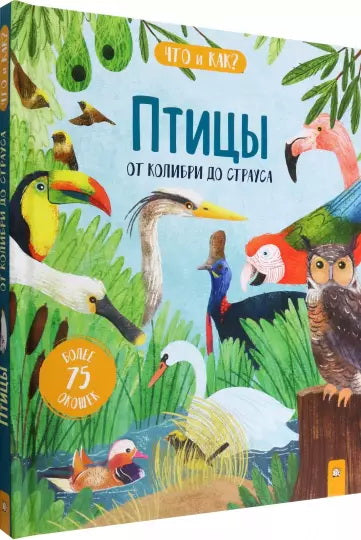 Птицы: от колибри до страуса