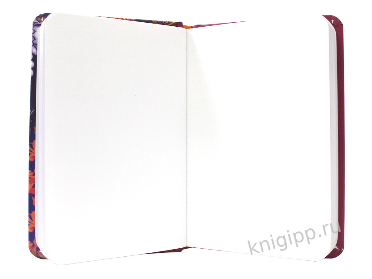 MyArt. XS Pocket СКЕТЧБУК. Аниме. Взгляд дракона