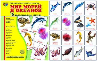 Демонстр. картинки "Мир морей" (173х220мм)