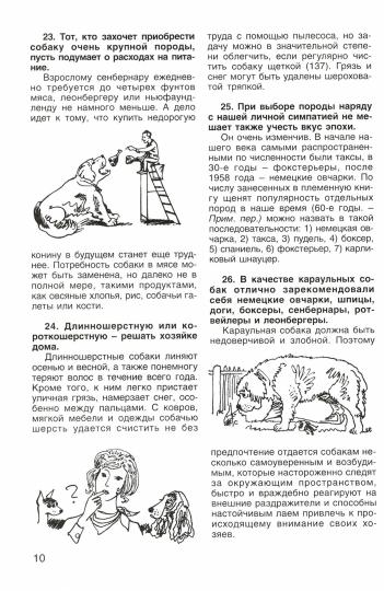 400 советов любителям собак