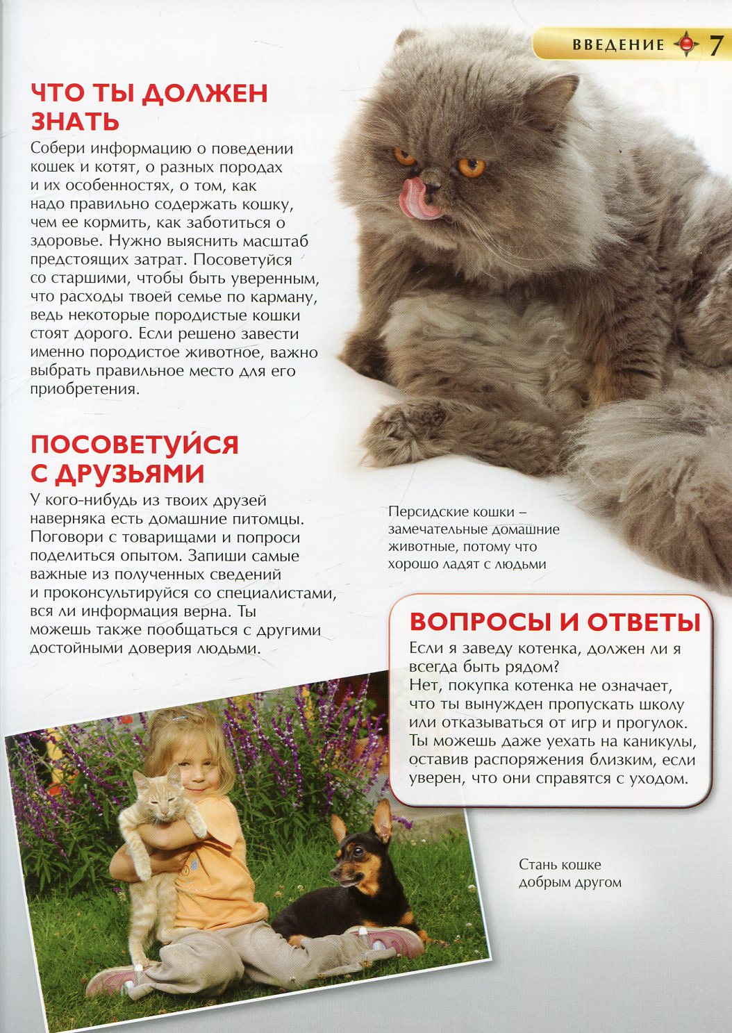 Кошки и котята. Детская энциклопедия