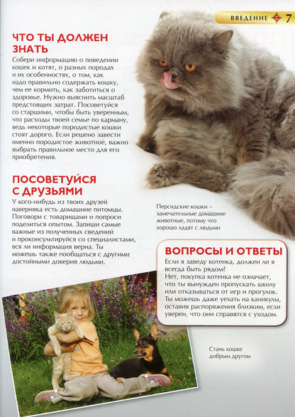 Кошки и котята. Детская энциклопедия