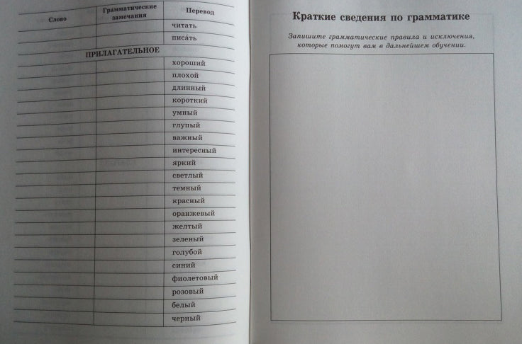 Тетрадь для записи иностранных слов. (Кошачий пир)