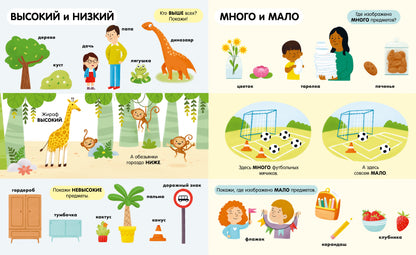 Найди и покажи. Большая книга. Логика