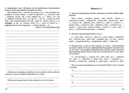 ВПР. Русский язык. 6 класс. Контрольные измерительные материалы