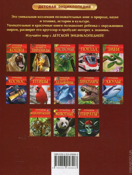 Тело человека. Детская энциклопедия