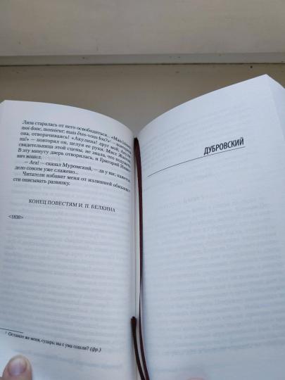 Капитанская дочка