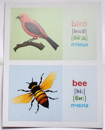 ОБУЧАЮЩИЕ КАРТОЧКИ. ПЕРВЫЕ СЛОВА НА АНГЛИЙСКОМ