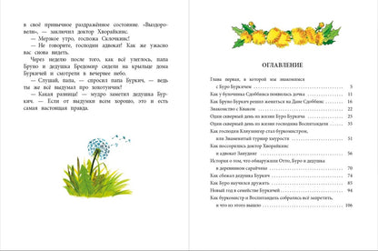 НМ Бабурова. Бурквиль