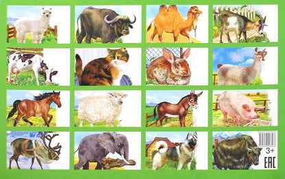 Карточки. Домашние животные ; Карточки. Домашние животные