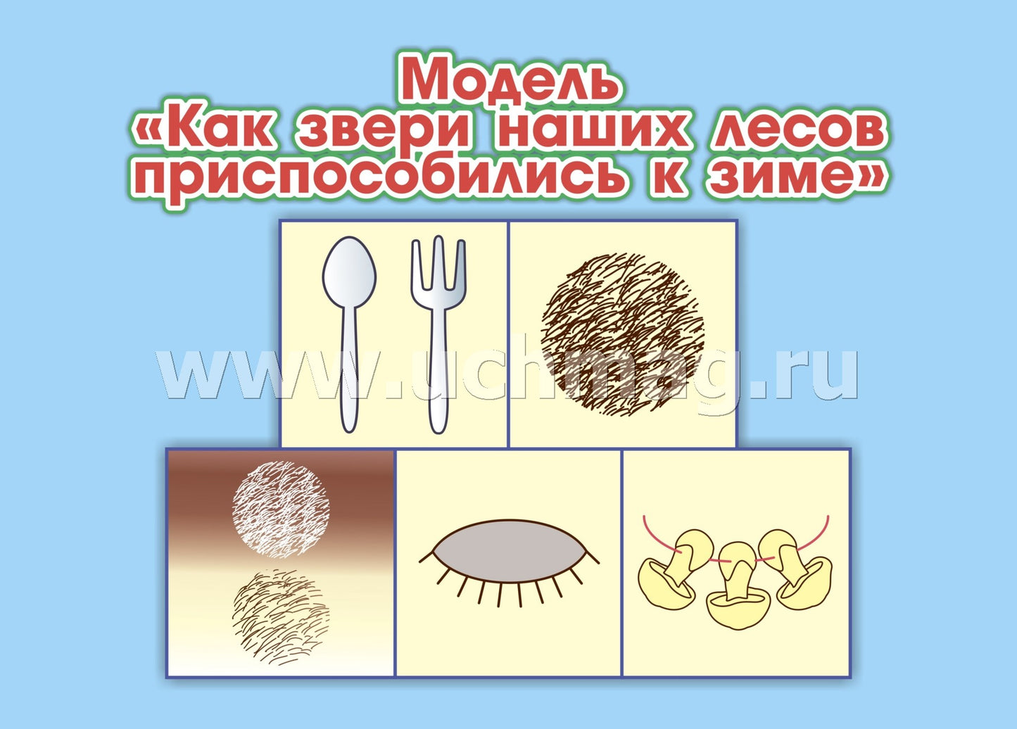 ФГОС ДО Развитие экологической культуры детей 5-8 лет. Комплект Мир животных. Образовательная область "Познавательное развитие". (32 цветные односторонние иллюстрации, 8 черно-белых двухсторонних карт, формат А4)