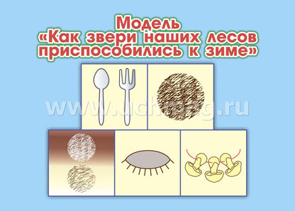 ФГОС ДО Развитие экологической культуры детей 5-8 лет. Комплект Мир животных. Образовательная область "Познавательное развитие". (32 цветные односторонние иллюстрации, 8 черно-белых двухсторонних карт, формат А4)