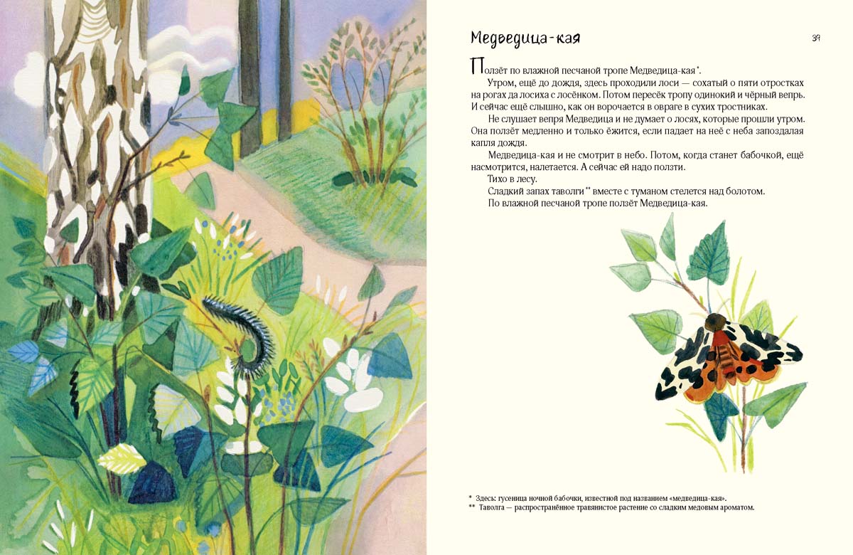 Коваль. Воробьиное озеро