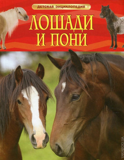 Лошади и пони. Детская энциклопедия